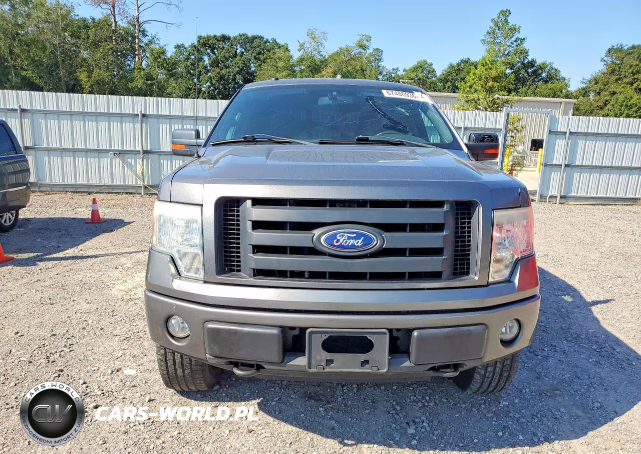 2010 Ford F-150 Fx4-Harley-Davidson-King Ranch-Lariat-Platinum-Xl-Xlt VIN:1FTFW1EV8AFA44930 - 5
