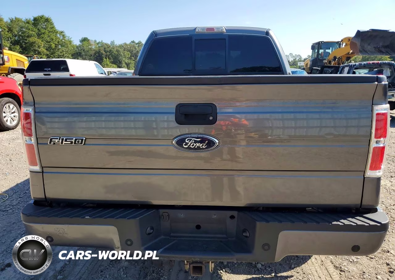 2010 Ford F-150 Fx4-Harley-Davidson-King Ranch-Lariat-Platinum-Xl-Xlt VIN:1FTFW1EV8AFA44930 - 6