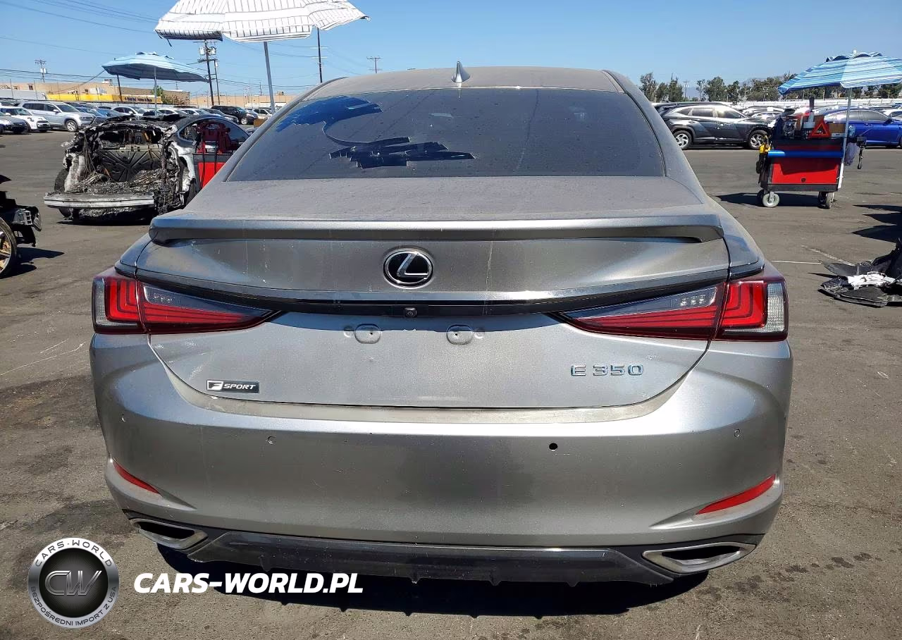 2019 Lexus Es 350 VIN:58ABZ1B16KU018559 - 6
