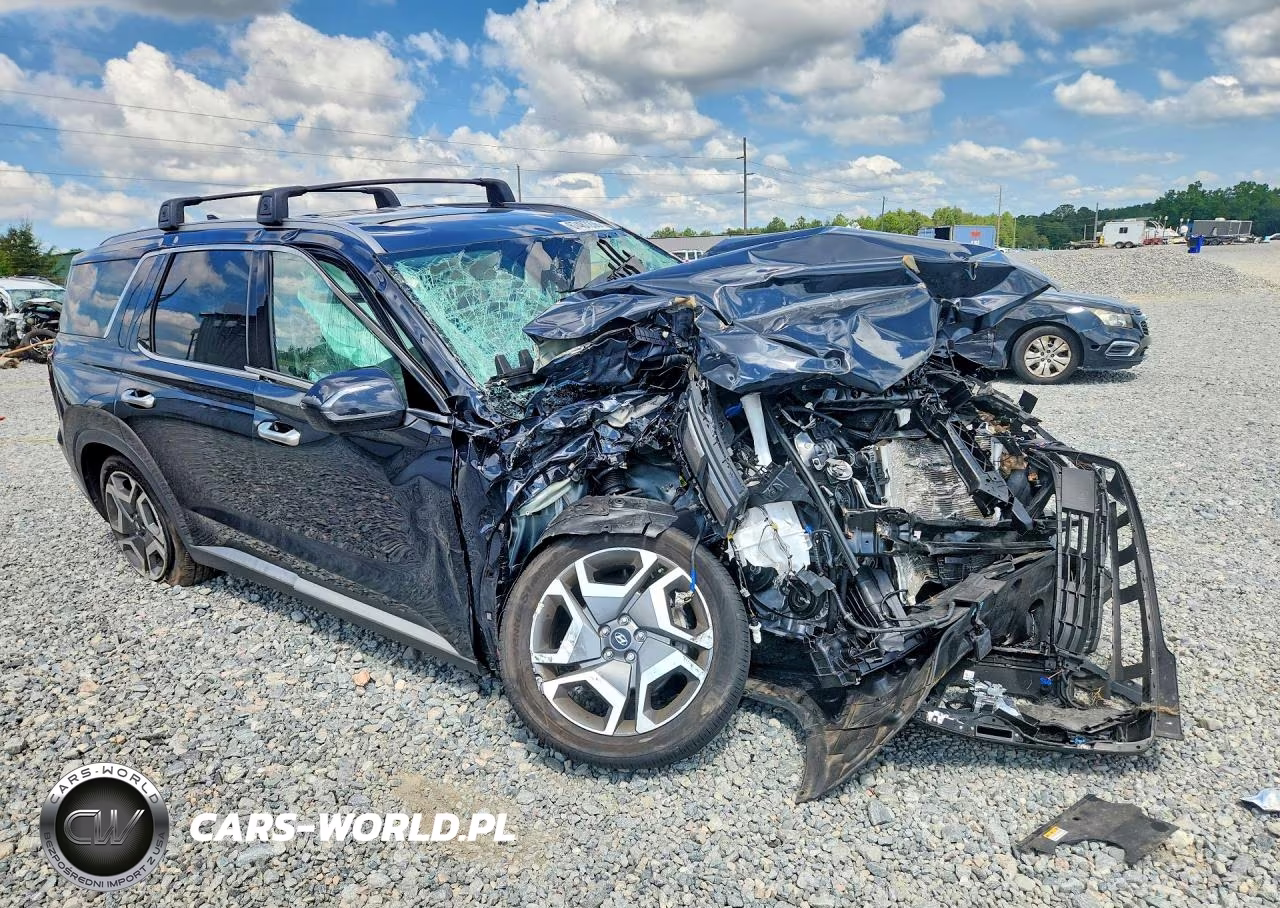 2024 Hyundai Palisade Limited VIN:KM8R5DGE2RU778609 - 4