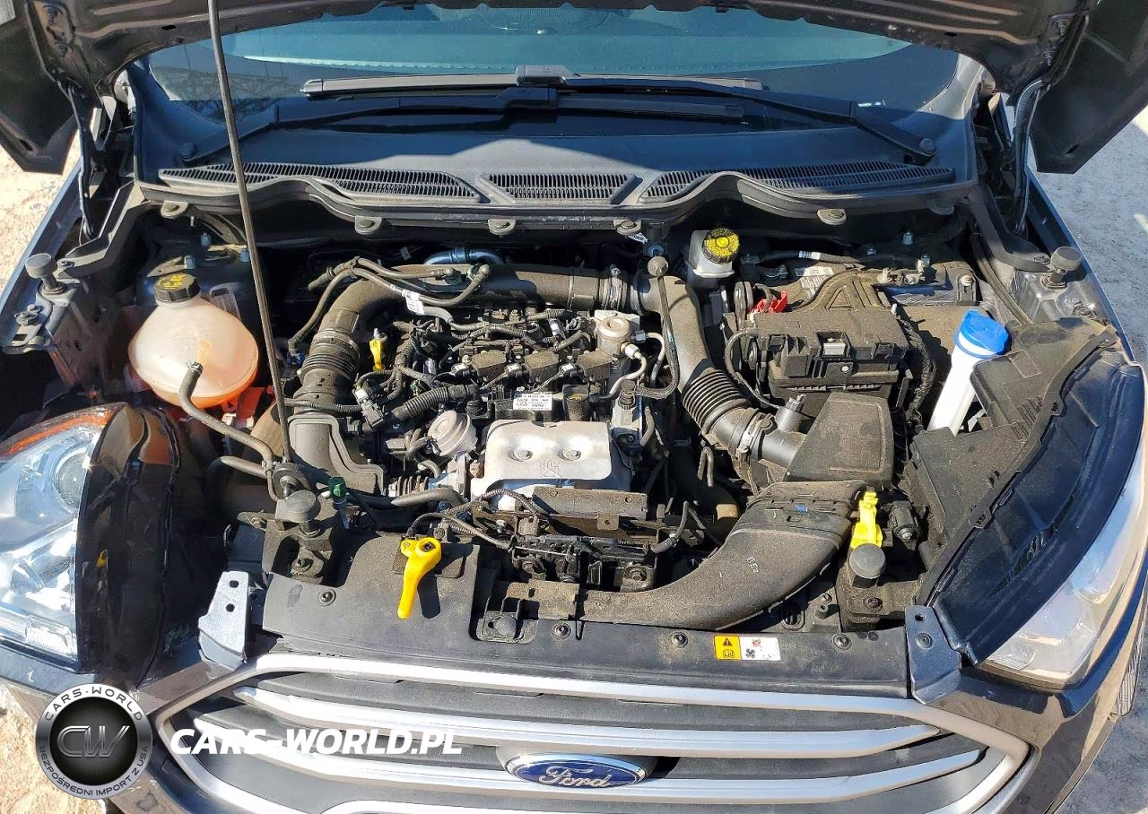 2021 Ford Ecosport Se VIN:MAJ3S2GE5MC443694 - 12