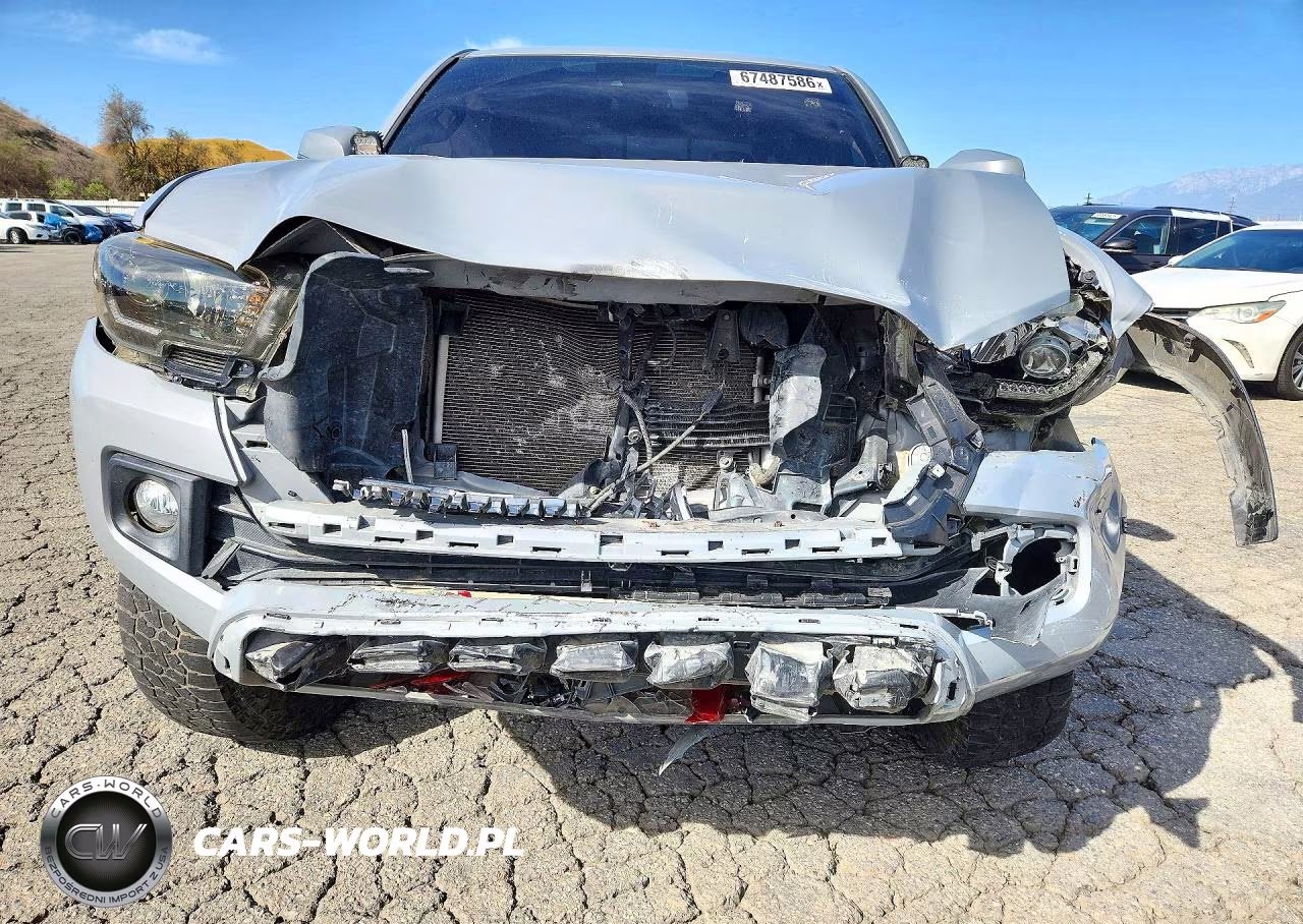 2019 Toyota Tacoma Trd Off-Road VIN:3TMDZ5BNXKM066908 - 5