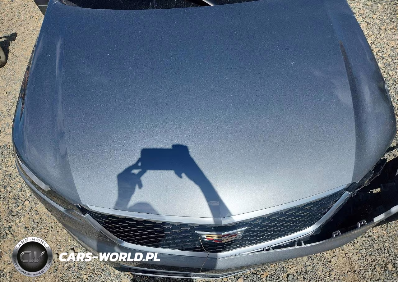 2025 Cadillac Xt6 Premium Luxury VIN:1GYKPDRS1SZ117126 - 12