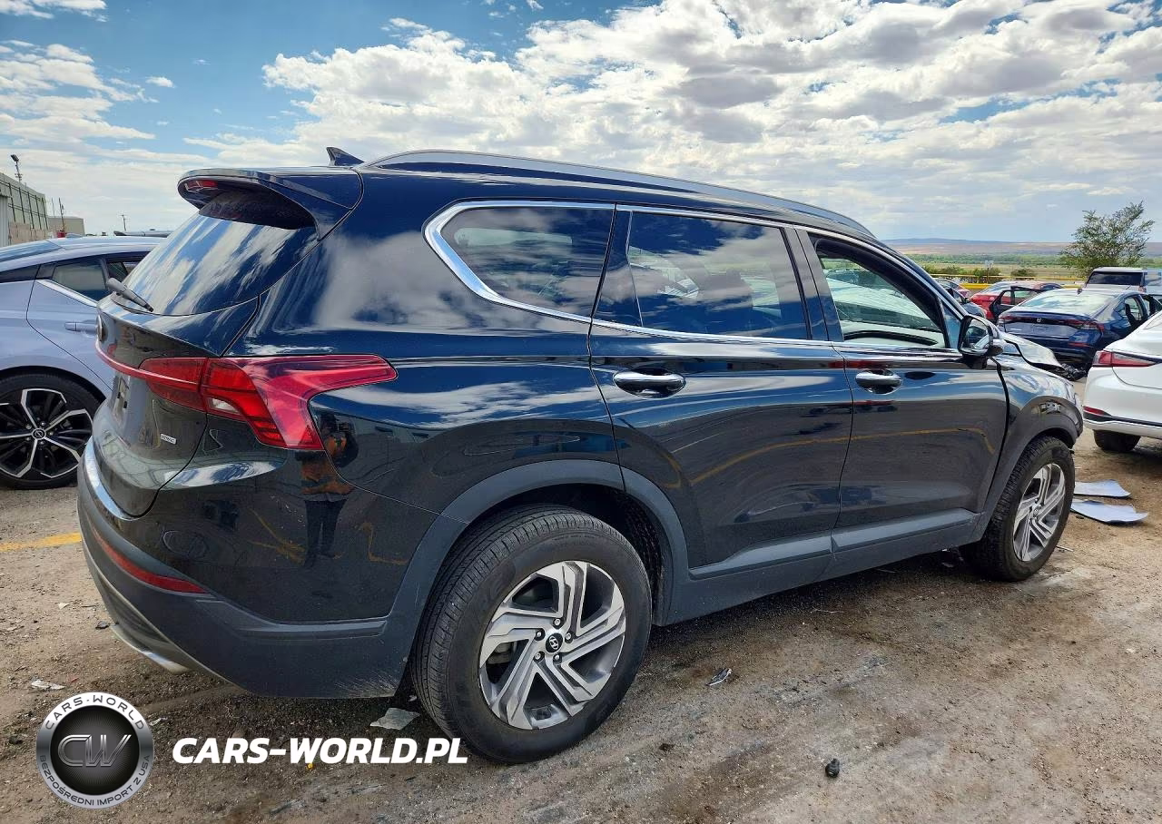 2023 Hyundai Santa Fe Sel VIN:5NMS2DAJ9PH609292 - 3