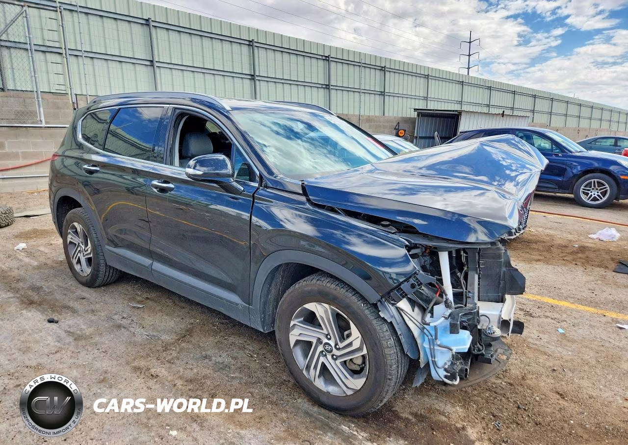 2023 Hyundai Santa Fe Sel VIN:5NMS2DAJ9PH609292 - 4
