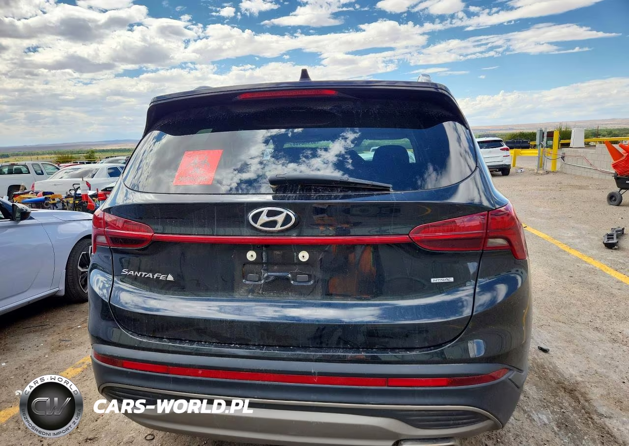 2023 Hyundai Santa Fe Sel VIN:5NMS2DAJ9PH609292 - 6