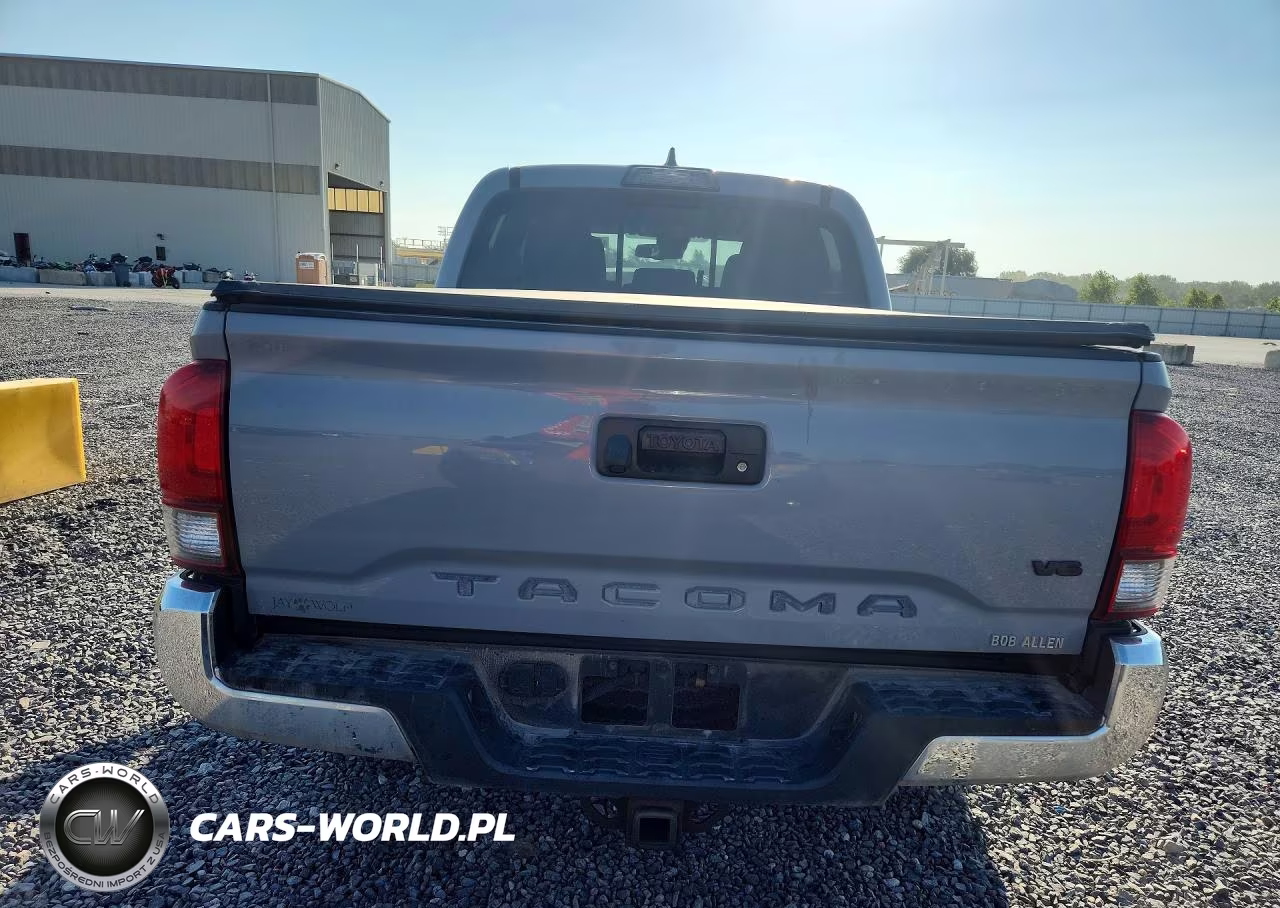2019 Toyota Tacoma Trd Off-Road VIN:3TMCZ5ANXKM224418 - 6