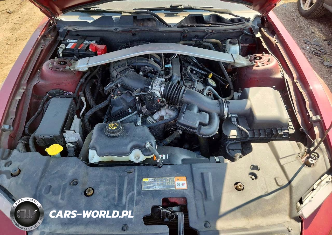 2014 Ford Mustang VIN:1ZVBP8EM5E5201429 - 11