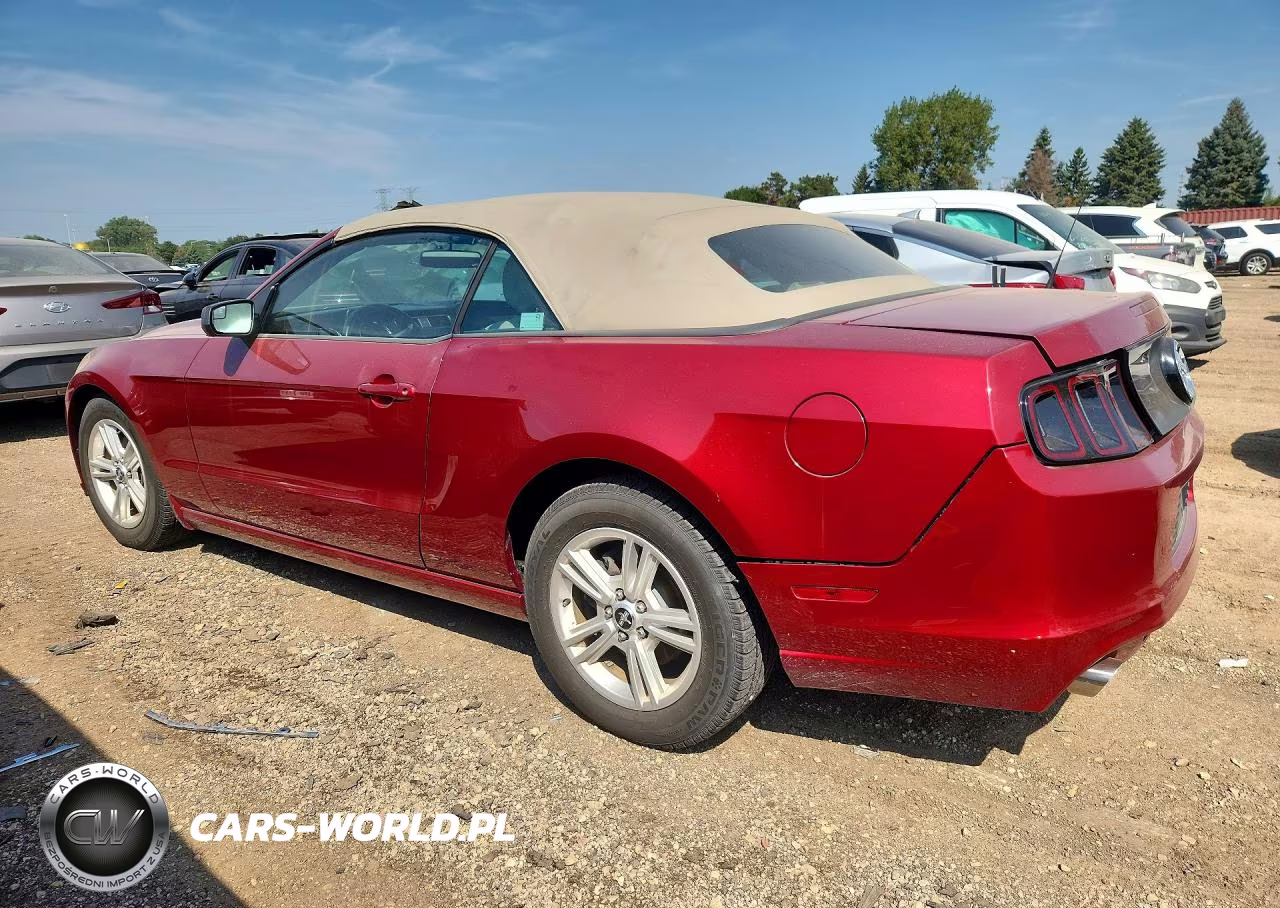2014 Ford Mustang VIN:1ZVBP8EM5E5201429 - 2