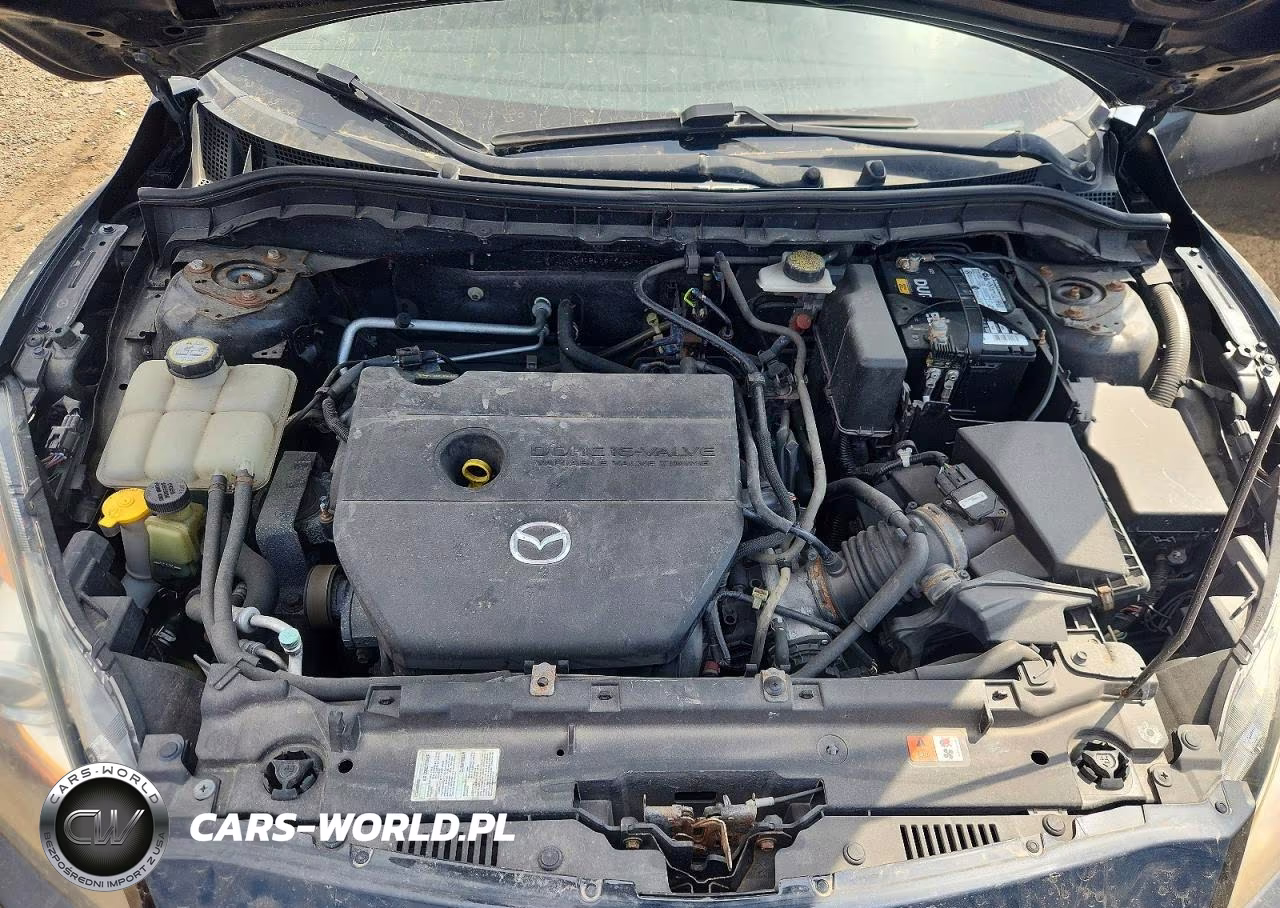2010 Mazda 3 I VIN:JM1BL1SF5A1341199 - 11
