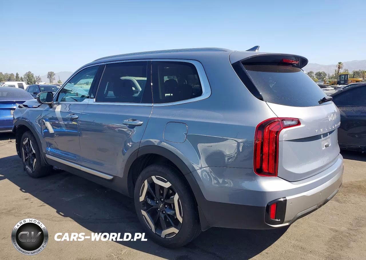 2025 Kia Telluride S VIN:5XYP6DGC5SG627018 - 2