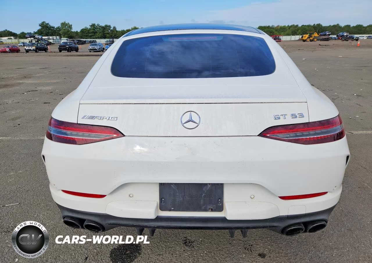 2020 Mercedes-Benz Amg Gt 53 VIN:WDD7X6BB0LA014769 - 6