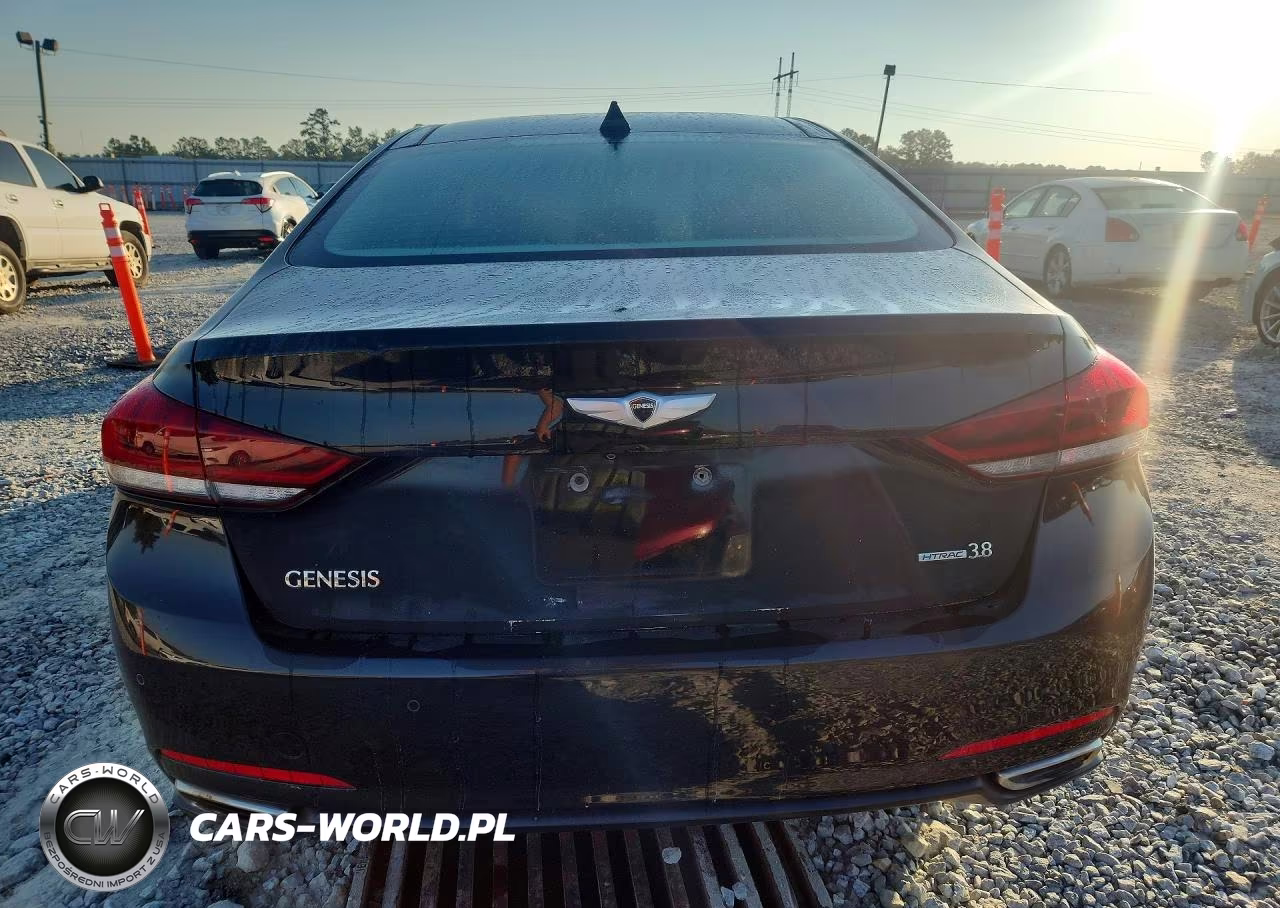 2015 Hyundai Genesis 3.8L VIN:KMHGN4JE3FU022993 - 6