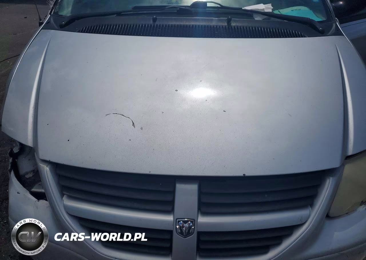 2006 Dodge Grand Caravan Se VIN:1D4GP24R36B570119 - 11