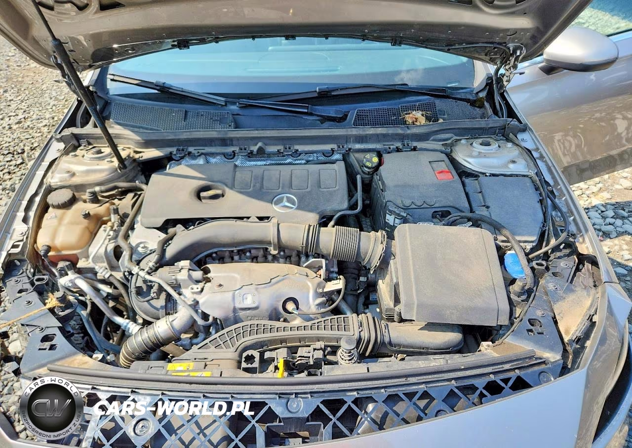 2019 Mercedes-Benz A 220 4Matic VIN:WDD3G4FB5KW023272 - 11