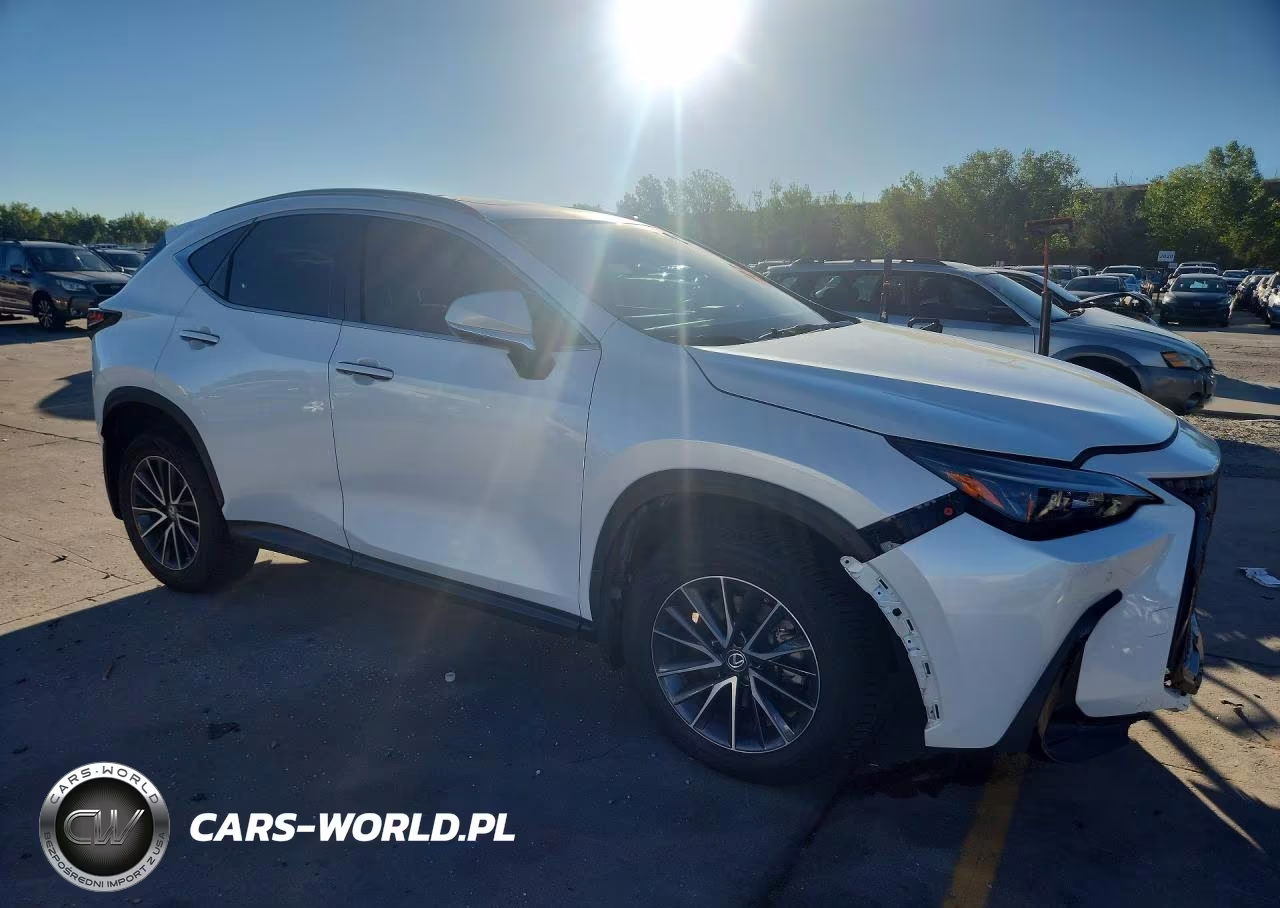 2022 Lexus Nx 350 VIN:2T2GGCEZ2NC007625 - 4