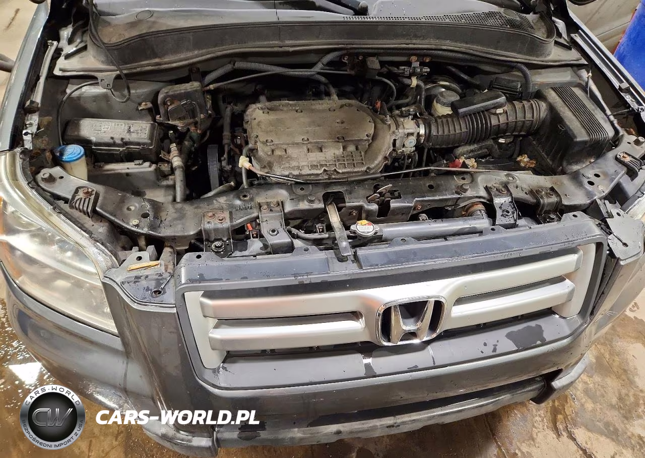 2008 Honda Pilot Exl VIN:5FNYF18788B007400 - 11