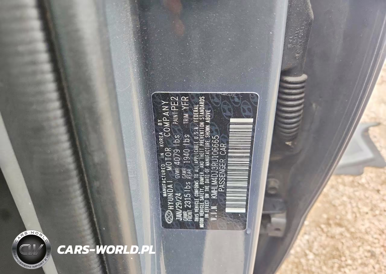 2024 Hyundai Elantra Blue VIN:KMHLM4DJ3RU106665 - 12