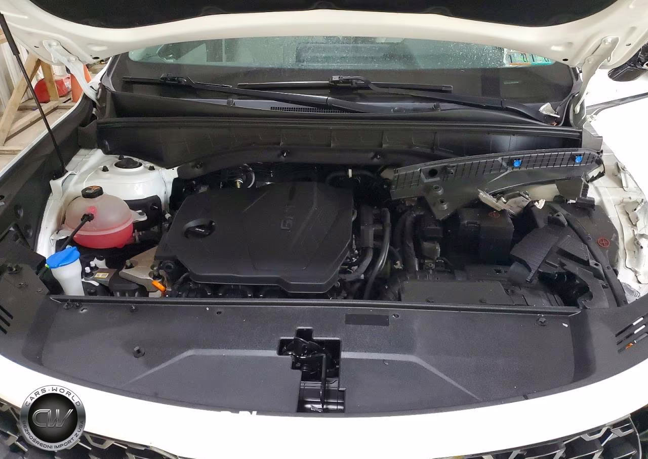 2023 Kia Sorento S VIN:5XYRLDLC5PG205684 - 12