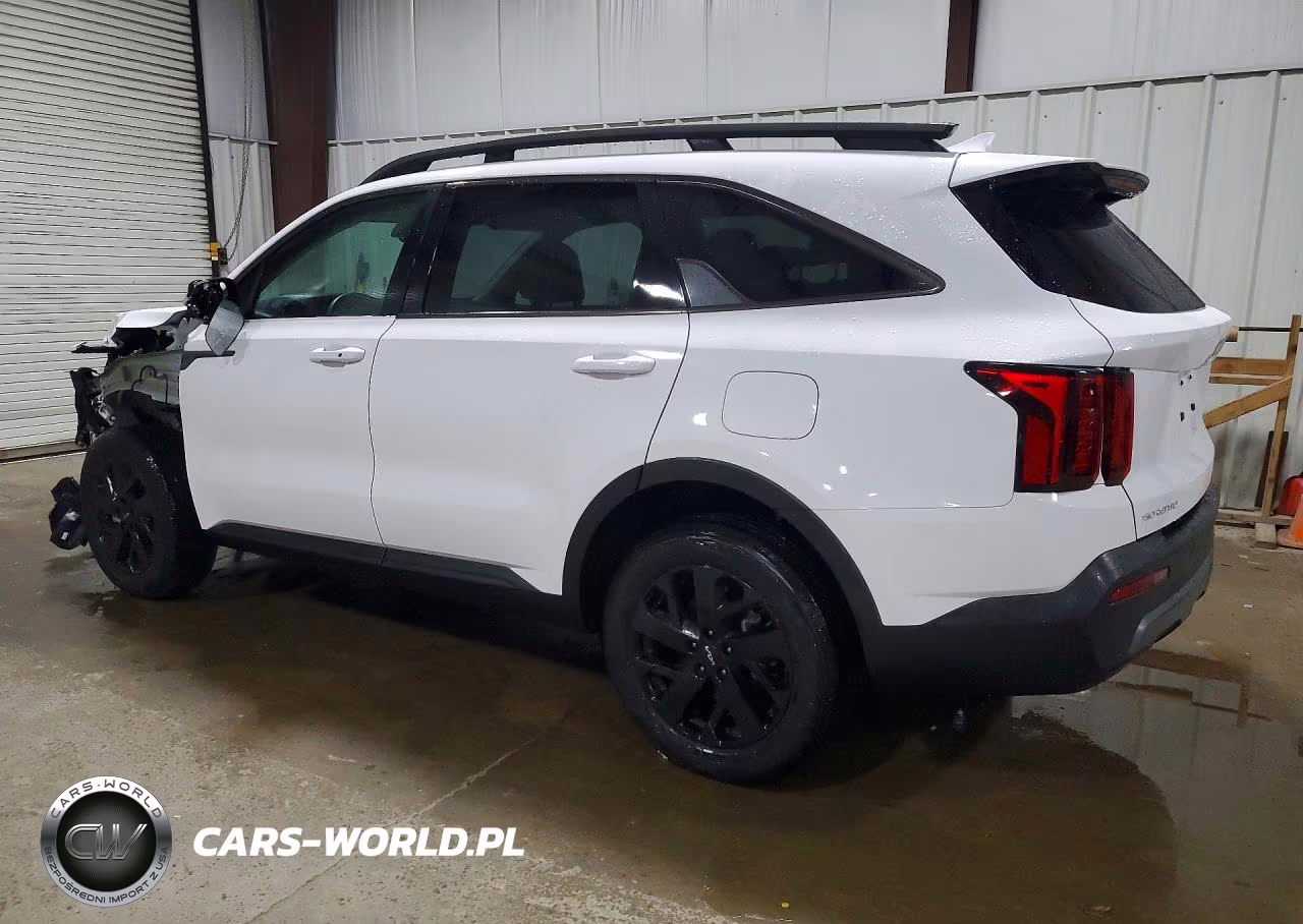 2023 Kia Sorento S VIN:5XYRLDLC5PG205684 - 2