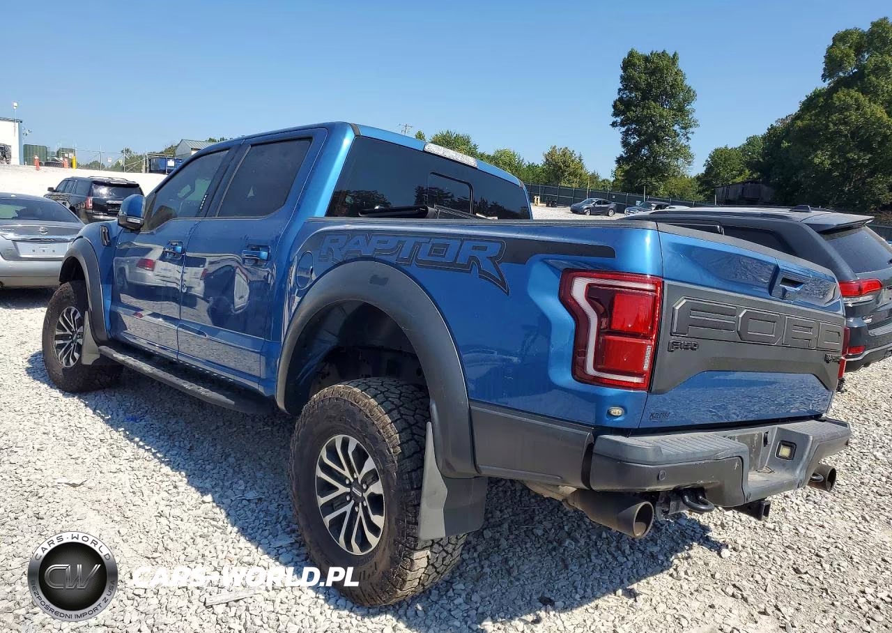 2019 Ford F-150 Raptor VIN:1FTFW1RG5KFA62332 - 2