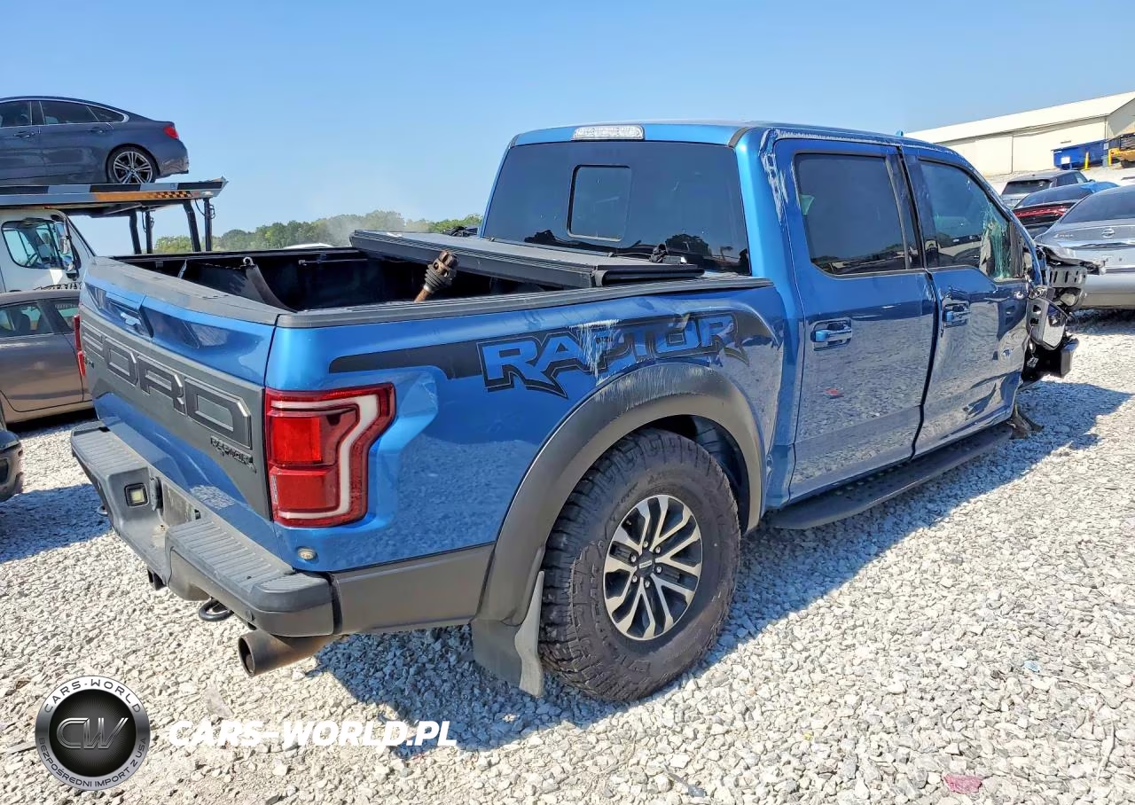 2019 Ford F-150 Raptor VIN:1FTFW1RG5KFA62332 - 3