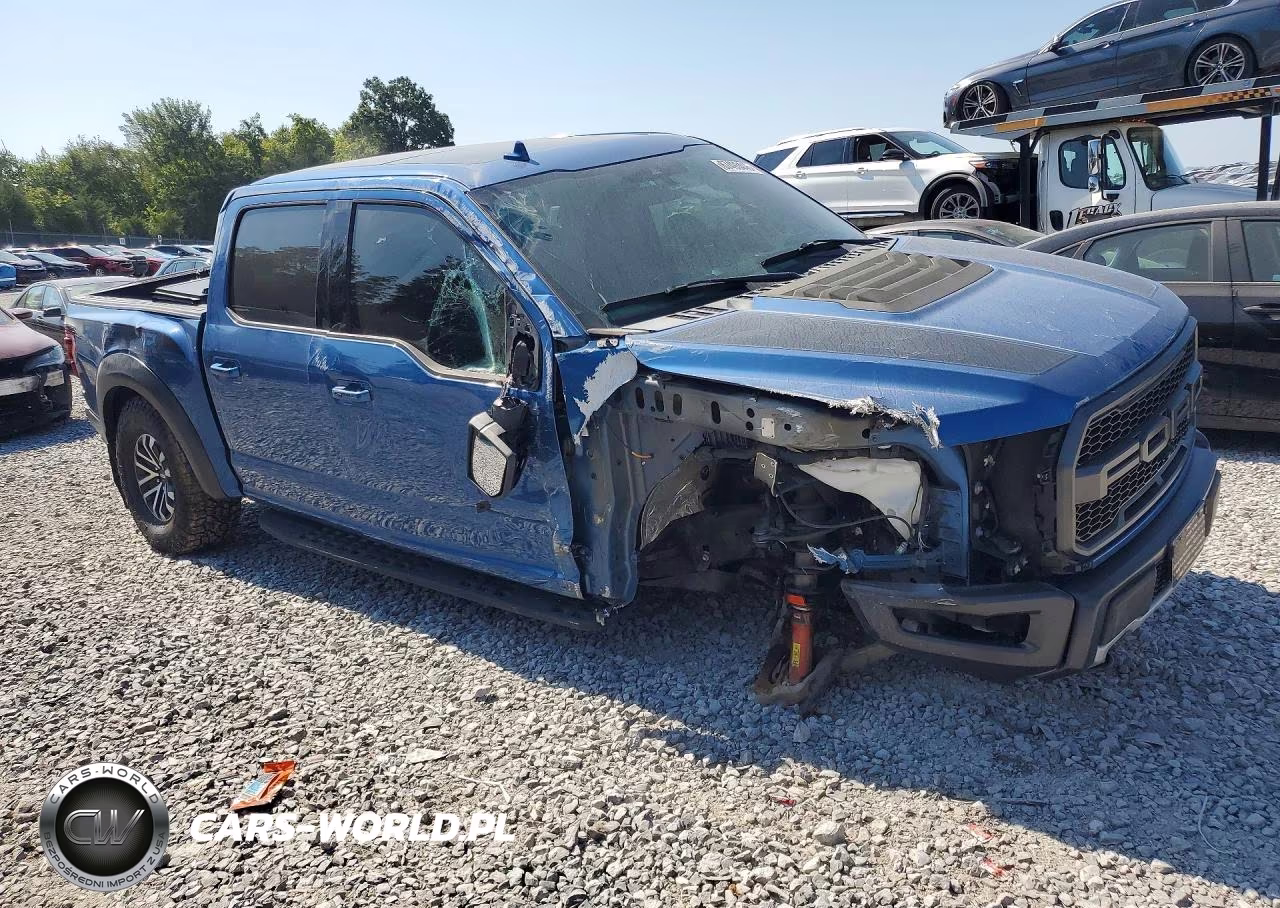 2019 Ford F-150 Raptor VIN:1FTFW1RG5KFA62332 - 4
