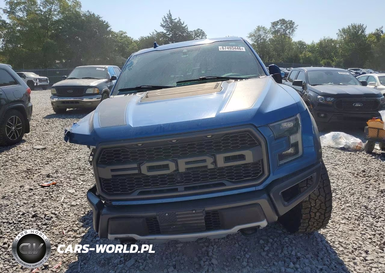 2019 Ford F-150 Raptor VIN:1FTFW1RG5KFA62332 - 5
