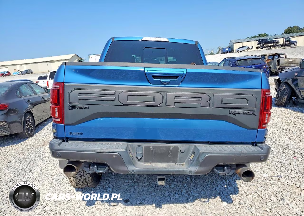 2019 Ford F-150 Raptor VIN:1FTFW1RG5KFA62332 - 6