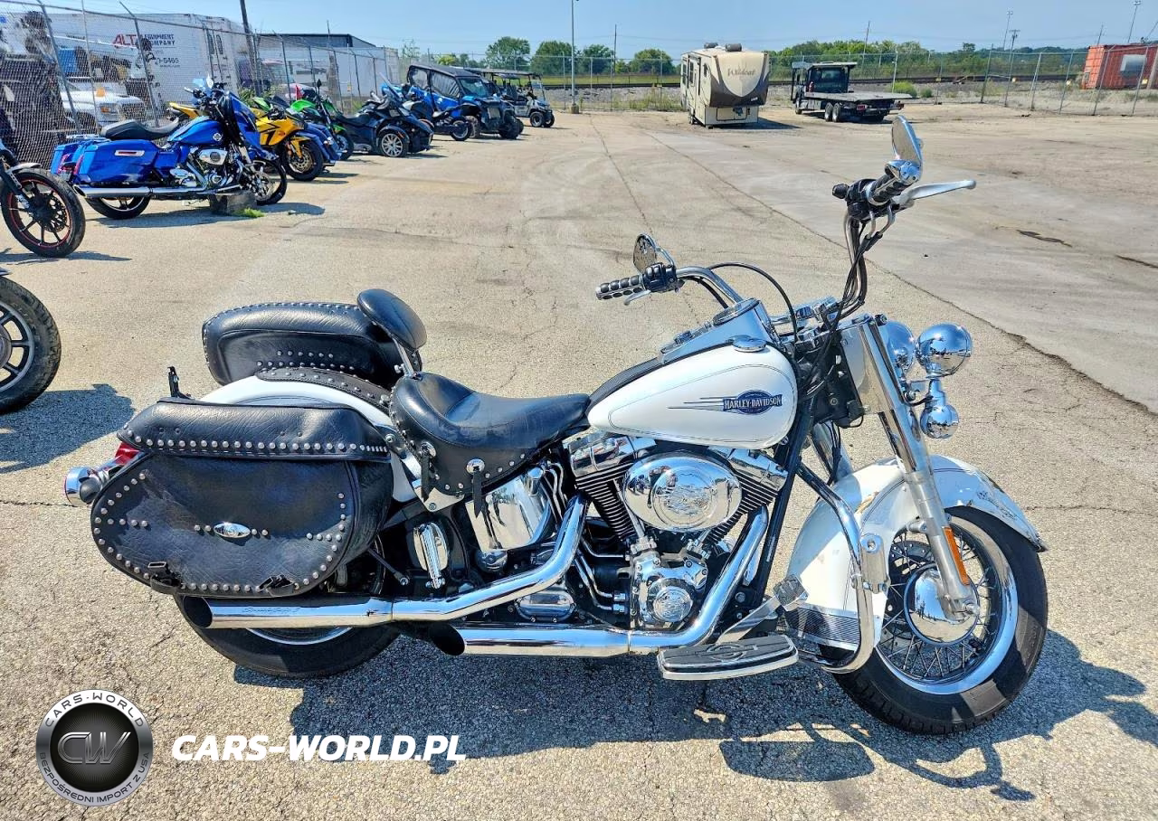 2006 Harley-Davidson Flstci VIN:1HD1BWB1X6Y053241 - 1