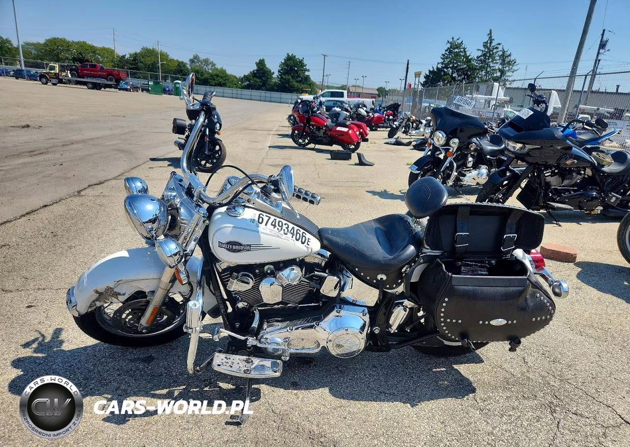 2006 Harley-Davidson Flstci VIN:1HD1BWB1X6Y053241 - 3