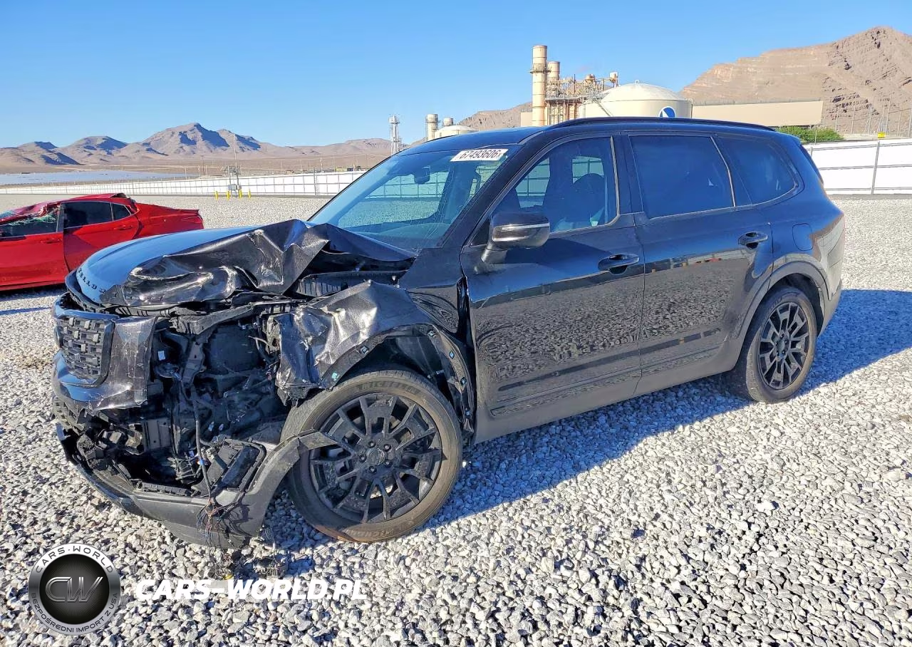 2021 Kia Telluride Ex VIN:5XYP3DHC4MG180529 - 1