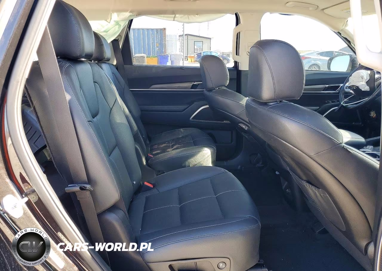 2021 Kia Telluride Ex VIN:5XYP3DHC4MG180529 - 10