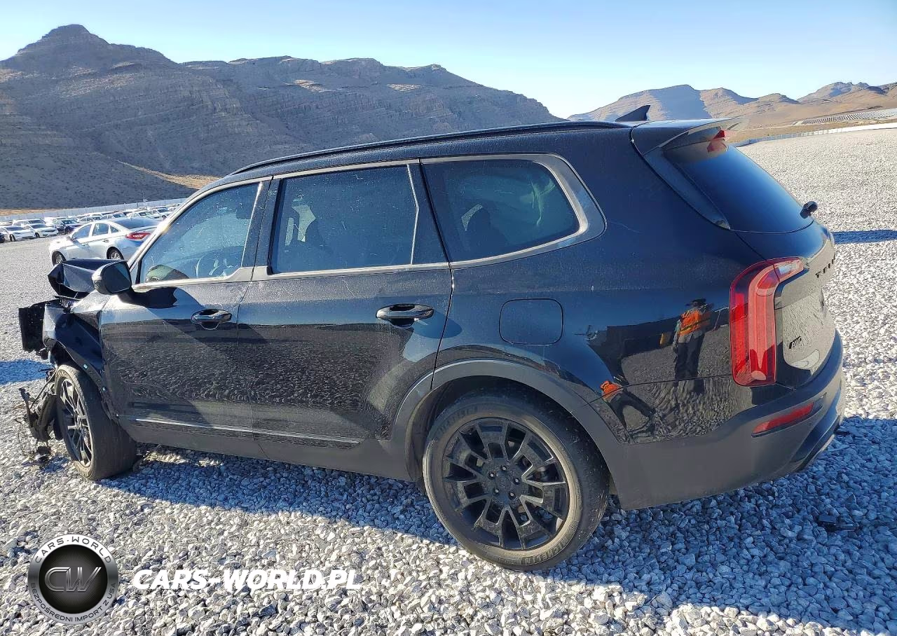 2021 Kia Telluride Ex VIN:5XYP3DHC4MG180529 - 2