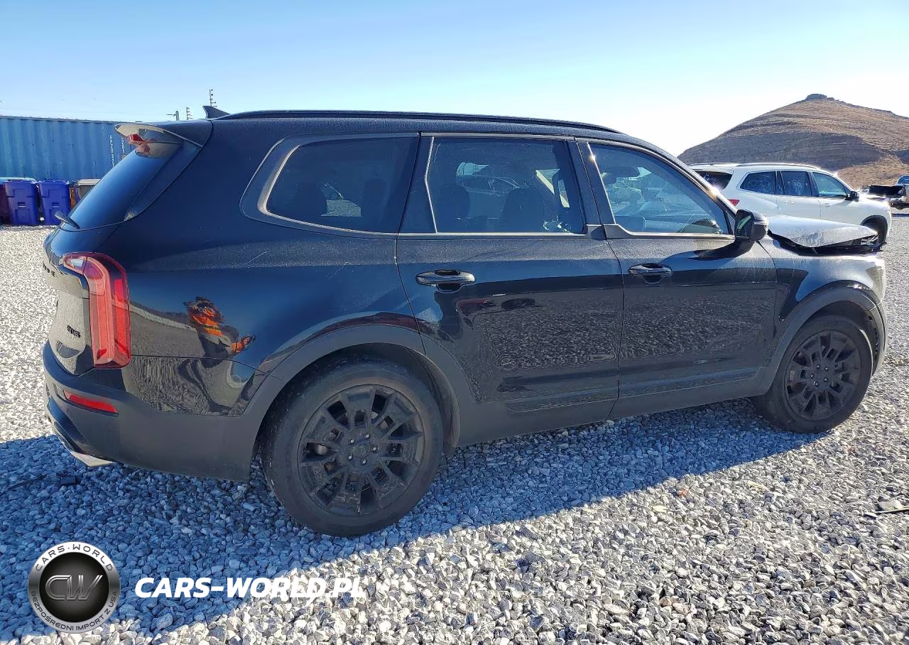 2021 Kia Telluride Ex VIN:5XYP3DHC4MG180529 - 3
