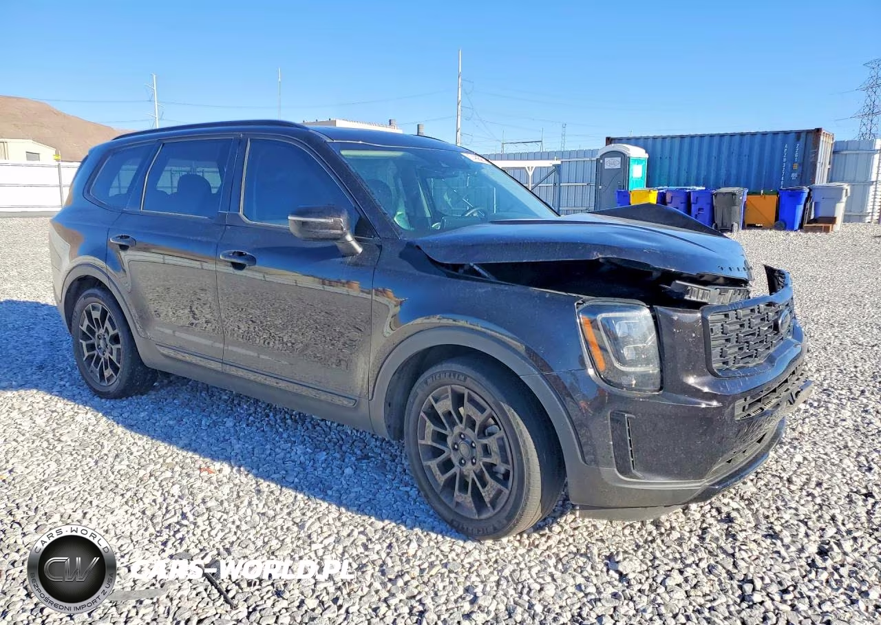 2021 Kia Telluride Ex VIN:5XYP3DHC4MG180529 - 4