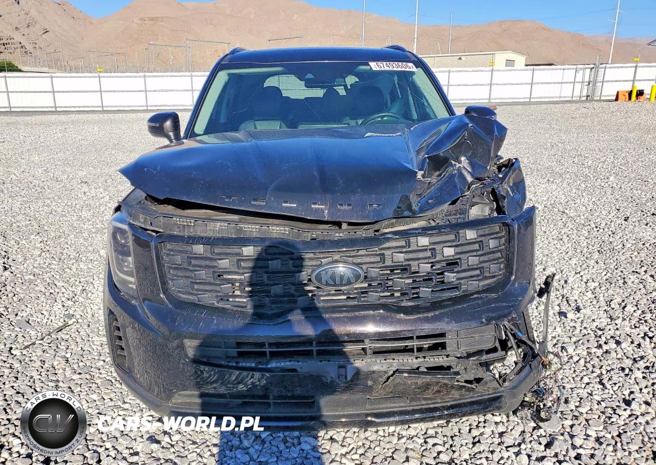 2021 Kia Telluride Ex VIN:5XYP3DHC4MG180529 - 5