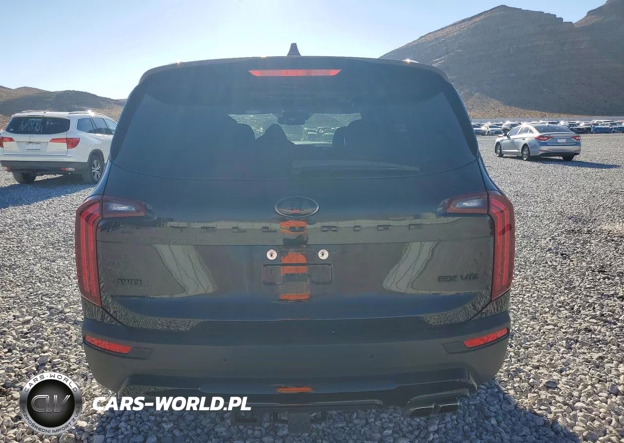 2021 Kia Telluride Ex VIN:5XYP3DHC4MG180529 - 6