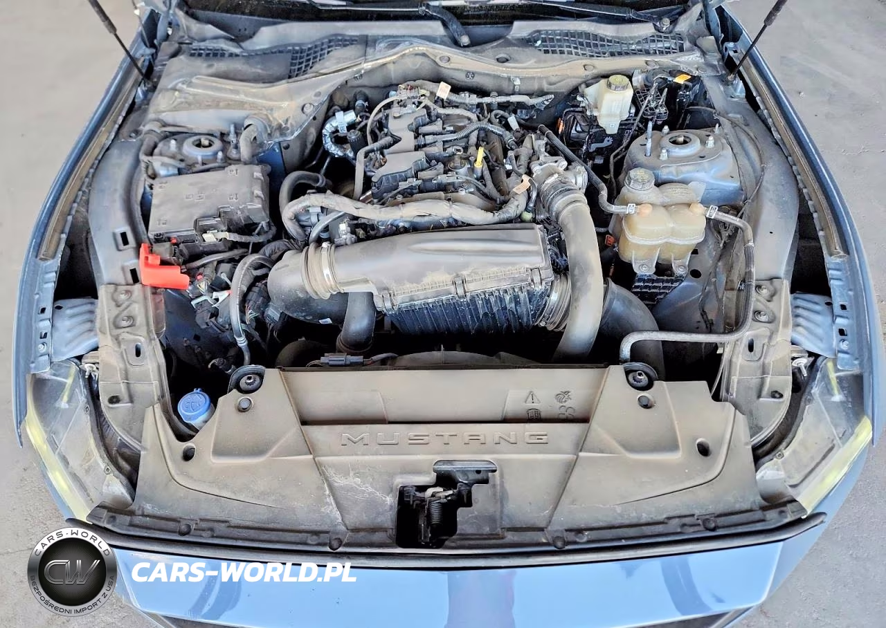 2024 Ford Mustang VIN:1FA6P8TH4R5100890 - 11