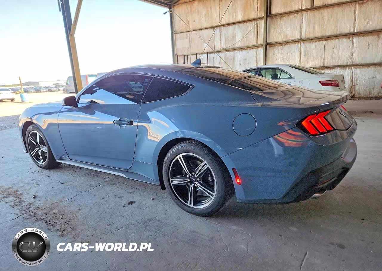 2024 Ford Mustang VIN:1FA6P8TH4R5100890 - 2