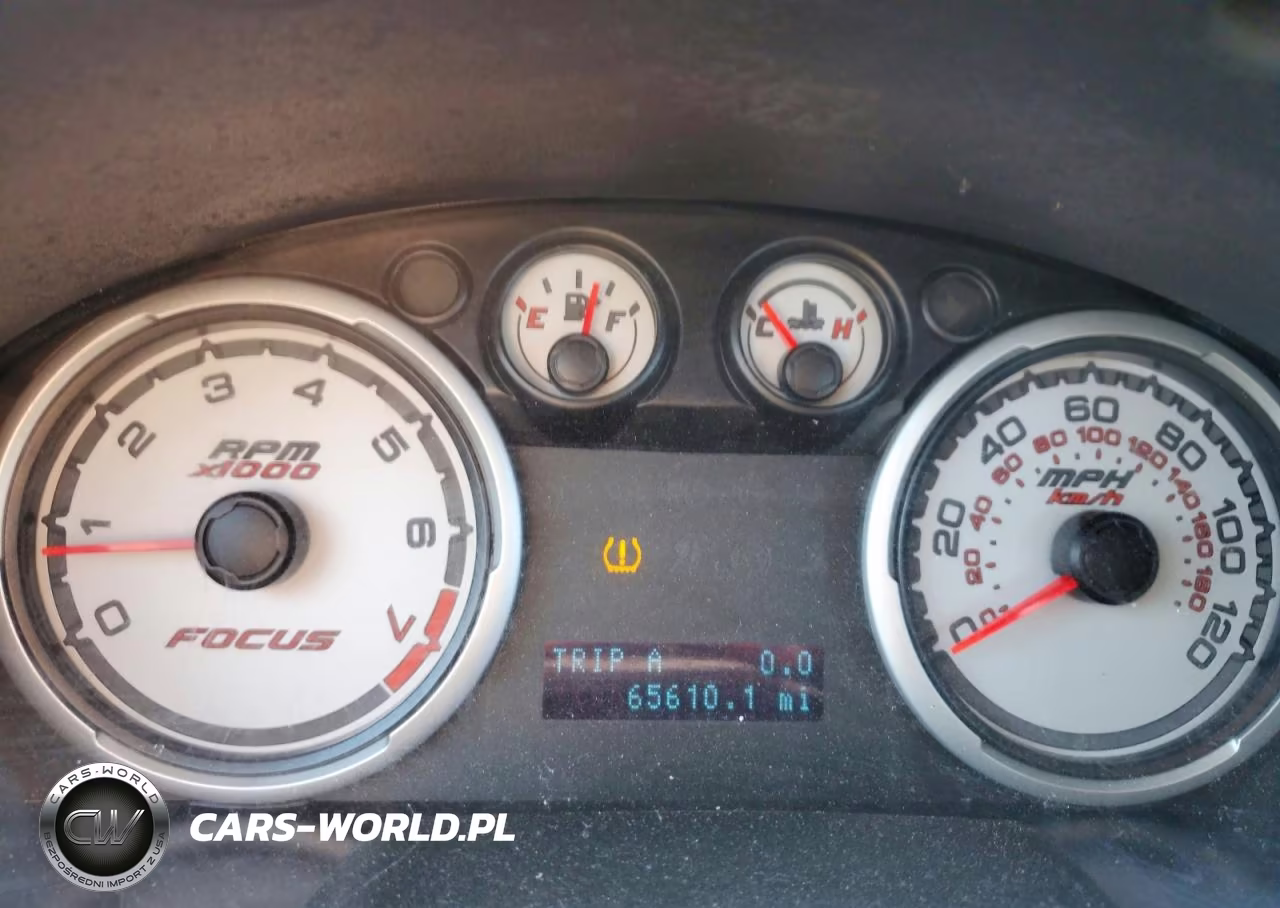 2010 Ford Focus S VIN:1FAHP3ENXAW204734 - 9