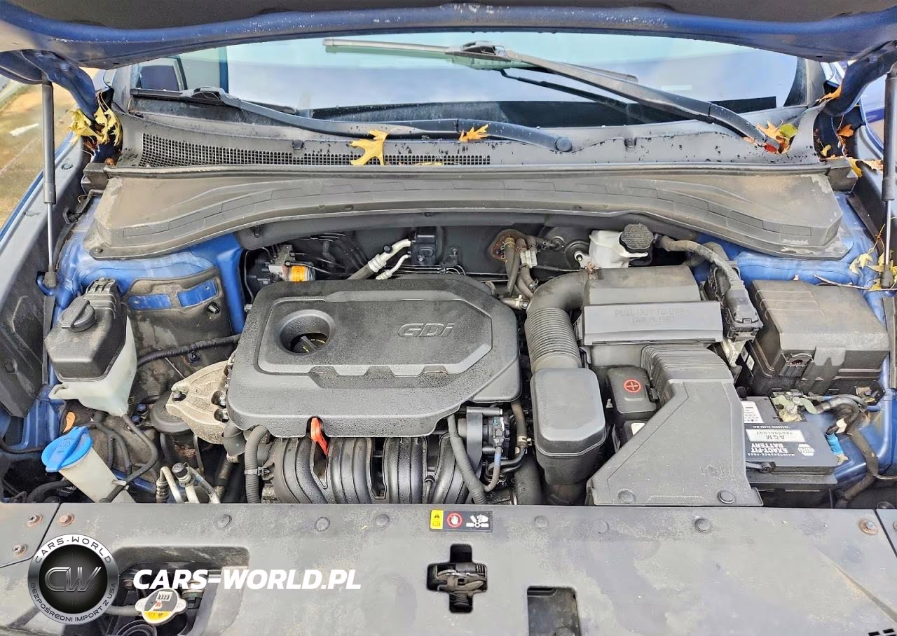 2019 Hyundai Santa Fe Sel Plus 2.4L VIN:5NMS33AD4KH052740 - 12