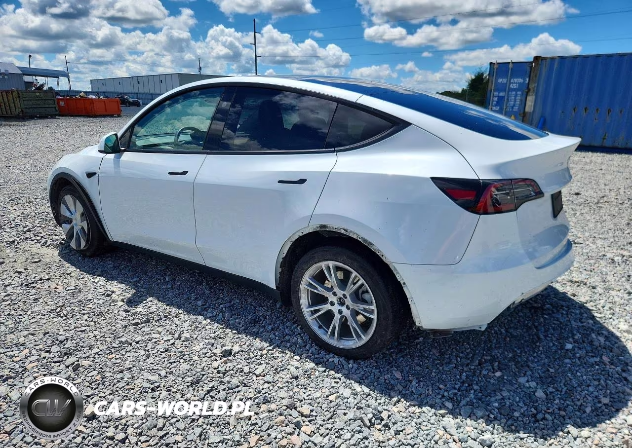 2024 Tesla Model Y VIN:7SAYGDEE7RF047490 - 2