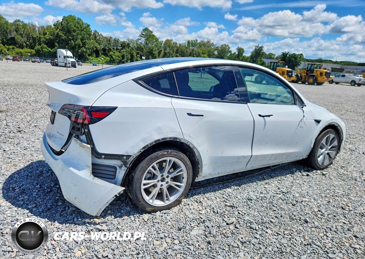 2024 Tesla Model Y VIN:7SAYGDEE7RF047490 - 3