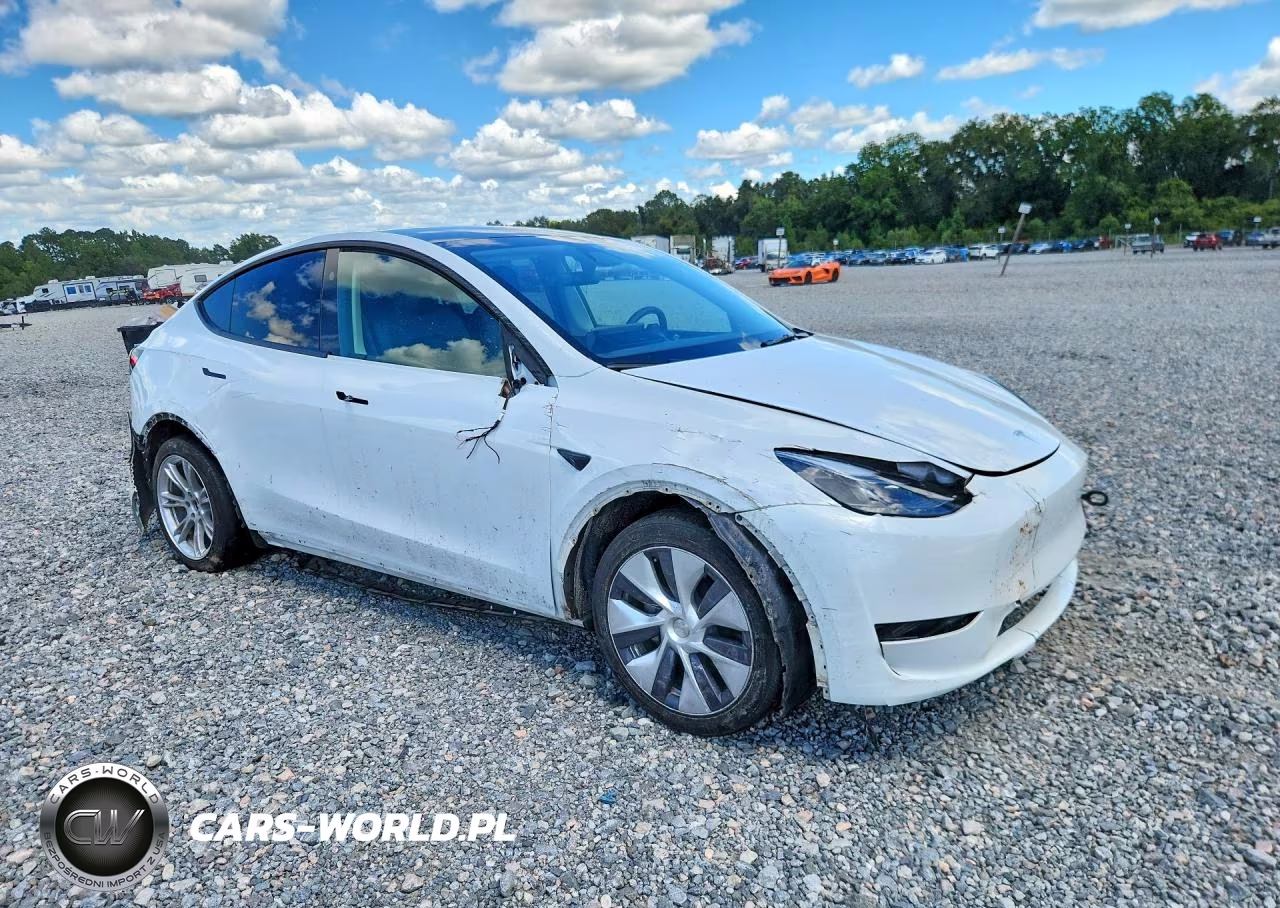 2024 Tesla Model Y VIN:7SAYGDEE7RF047490 - 4
