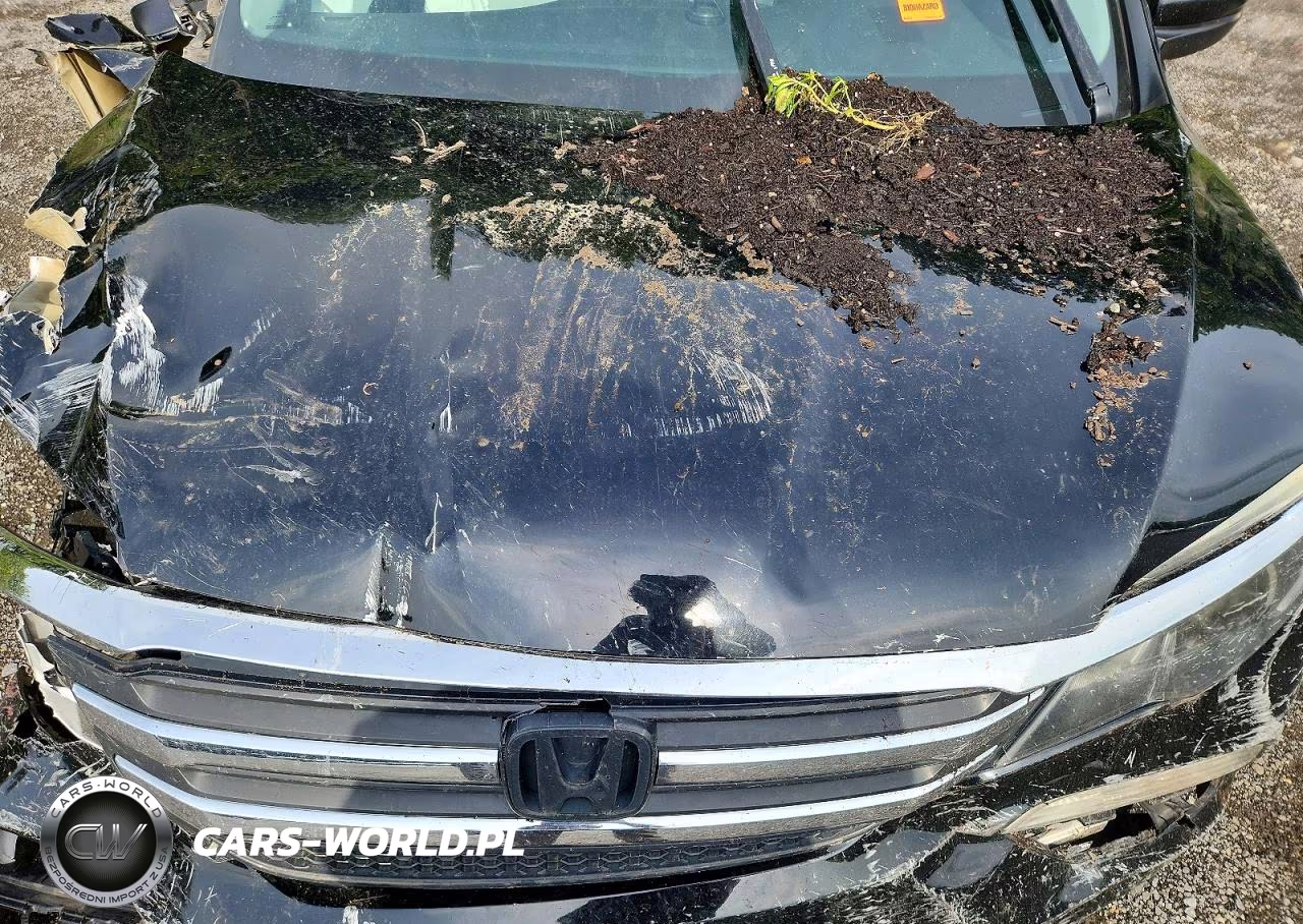 2016 Honda Pilot Exl VIN:5FNYF6H59GB117740 - 11
