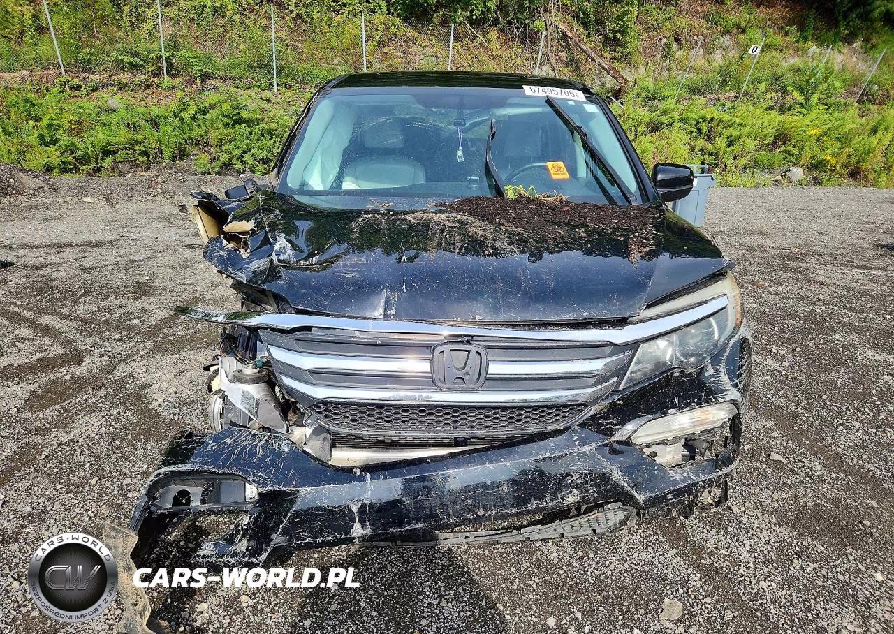 2016 Honda Pilot Exl VIN:5FNYF6H59GB117740 - 5