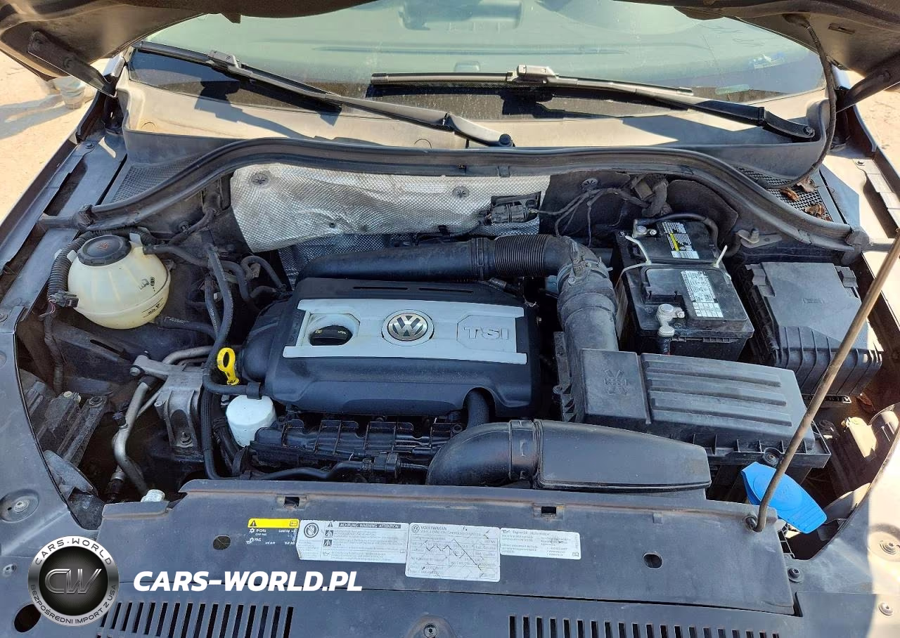 2017 Volkswagen Tiguan S VIN:WVGAV7AX3HK052065 - 11