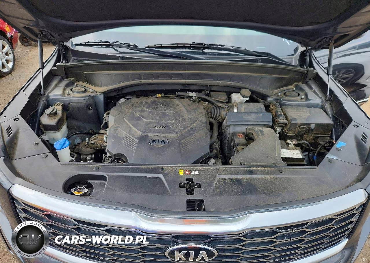 2020 Kia Telluride Ex VIN:5XYP3DHC8LG061784 - 12