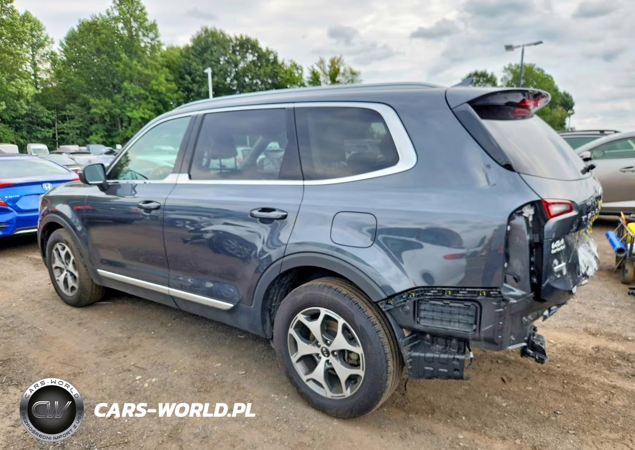 2020 Kia Telluride Ex VIN:5XYP3DHC8LG061784 - 2